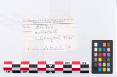 Foto von Keramikgefäß (NHMW-PRAE-085766)